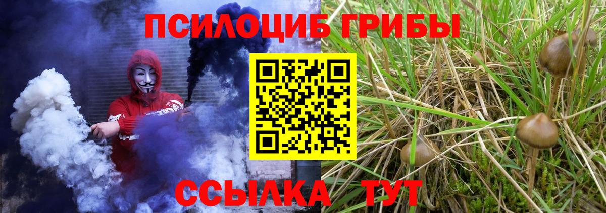 купить  цена  Псилоцибиновые грибы ЛСД  Псилоцибиновые грибы прущие грибы  Вход с VPN  Рассказово 